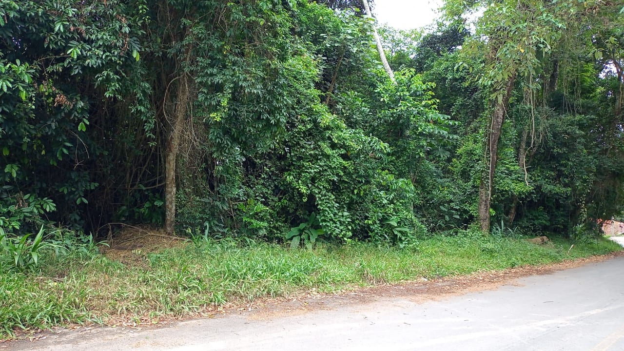 LOTE 325 À VENDA NO JARDIM SANTA PAULA, COTIA - SP