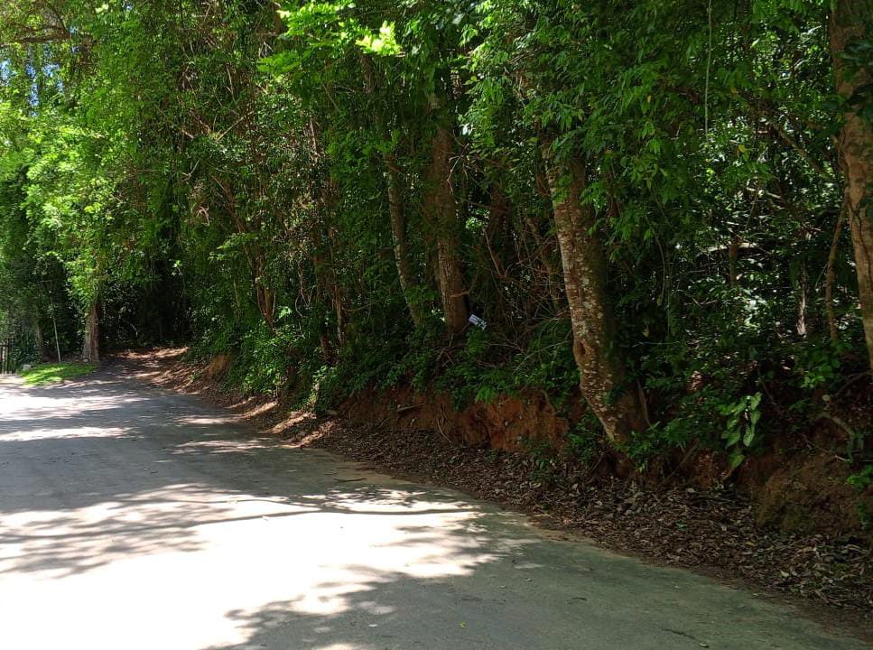 LOTE 373 À VENDA NO JARDIM SANTA PAULA, COTIA /SP